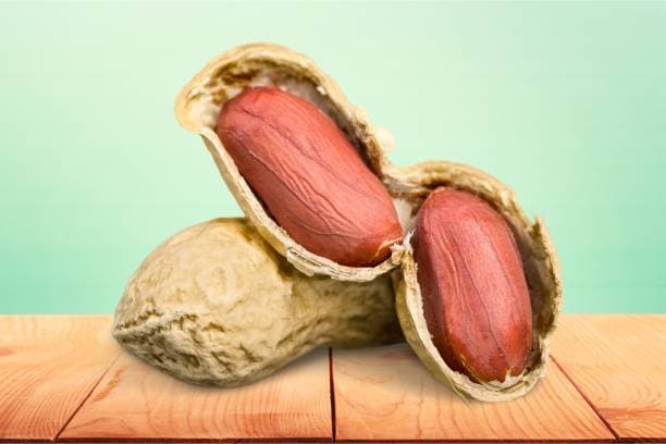 خرید بادام زمینی مزمز + فروش ویژه